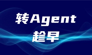 程序员破局指南：读懂IT高薪底层逻辑，抓紧转型Agent抢占赛道红利！