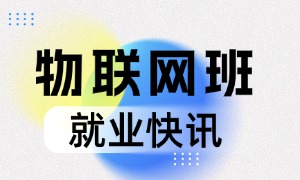 物联网 | 16天全员就业，最高薪资13000元！平均薪资8127元！
